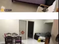 淡宾尼东
