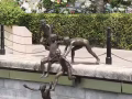 全岛寻女主