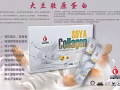 大豆胶原蛋白