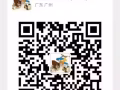 中國至新加坡貨運 [海/空運]直航專線 同行全行業價格優勢 歡迎諮詢
