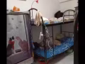 义顺，男搭房，280，即可入住