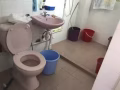 Tampines blk 491G 找一女搭房
