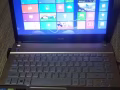 acer