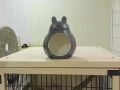 全新龍貓冰屋