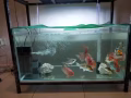 盛港出售三尺魚缸+魚缸架+12格滴漏過濾器+七彩魚燈+靜音水泵