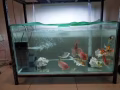盛港出售三尺魚缸+魚缸架+12格滴漏過濾器+七彩魚燈+靜音水泵