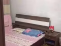 普通房出租
