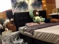 招男租客