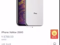 Xs Max 256GB