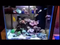 出二手海水缸