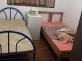 单人间 夫妻房