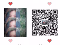美发美甲美容  微信；zj05124757