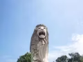找三号司机工作