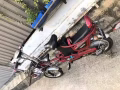 有政府拍照的電動車
