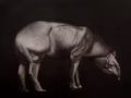 专业美术班（包括素描，速写，油画，想学其它材料可以咨询）