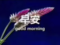 高薪聘美容美甲師