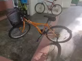 VX+6586216672請微信聯繫