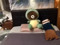 招男室友