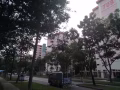 西海岸Block 708 单间普通房出租