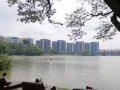 长短期出租近湖畔新公寓普通房