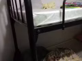 要搬家了上下床便宜卖两套200