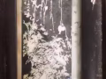 郑板桥真迹拓片