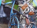 回國，景萬安自行車50