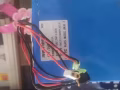 60v
