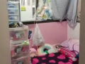 普通小房出租