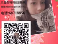 新加坡销售好单看这里详情加微xiaobing18243550561