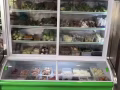 麻辣香鍋展示冰櫃轉賣 新的用了一個月