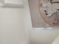 索菲亞路，selegie house有普通小房出租，地理位置極佳！