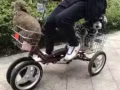 三輪車