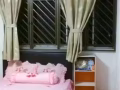 淡滨尼44街，大牌461有大普通房出租