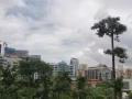 女性朋友的首选（合租）