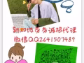 可以年后入境！最新国内司机/三号/四号集装箱/半挂/吊秤微信2641507489