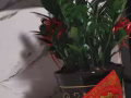 单间或者床位出租