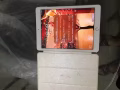 自用ipad pro 256G  9.9新