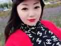 人在新加坡wp换工作不用离镜 ，抓住机会赶紧办理，微信hsgjliuying