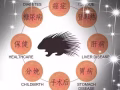 豪猪枣