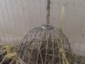 天竺鼠/兔子 草球
