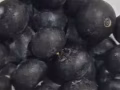 每日新鲜蔬菜、水果、鸡蛋、米面、粮油、肉类全岛免费送货上门，质优价廉。