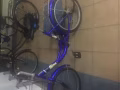 轉讓女式自行車不帶鎖五十