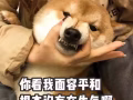 高文别墅区一室一厅小studio招女室友
