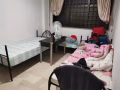 Sembawang drive 三巴旺大牌470普通房招2位女搭房(三人一間)