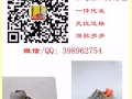 主营各种品牌，中高端货源，批发放店，诚招代理一件代发。