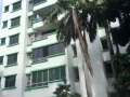 阿裕尼公寓 温馨单人间 1分钟步行可到达 ，4月底可拎包入住!!(1人)