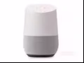 谷歌智能语音两个一大一小100