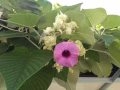 寂寞沙洲冷