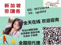 新加坡工廠招聘普工   人在新加坡隨時安排面試